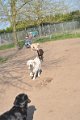 Afb_20170409w (7)